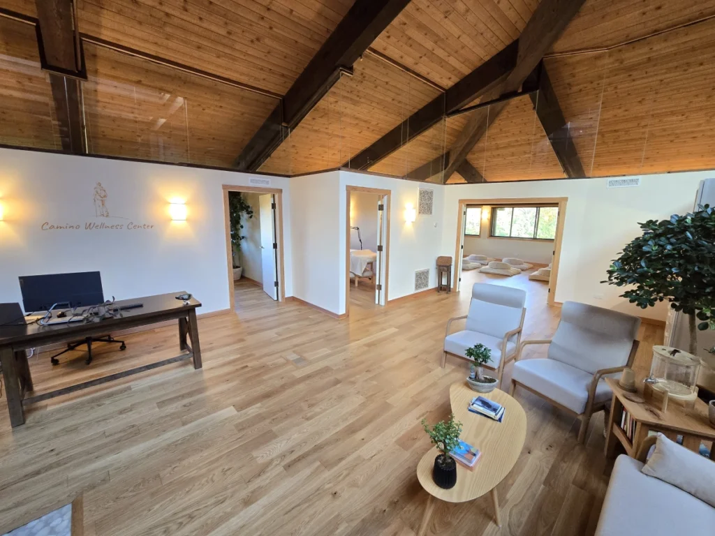 Camino Wellness Center Main Space Camino Wellness Center Esoteric Acupuncture, Self-Inquiry, Meditation - Main Space
