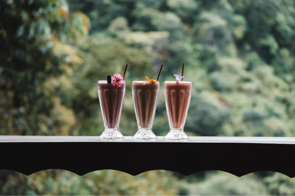 Kawoq-Forest-Retreat-Center-Refreshing-Smoothies