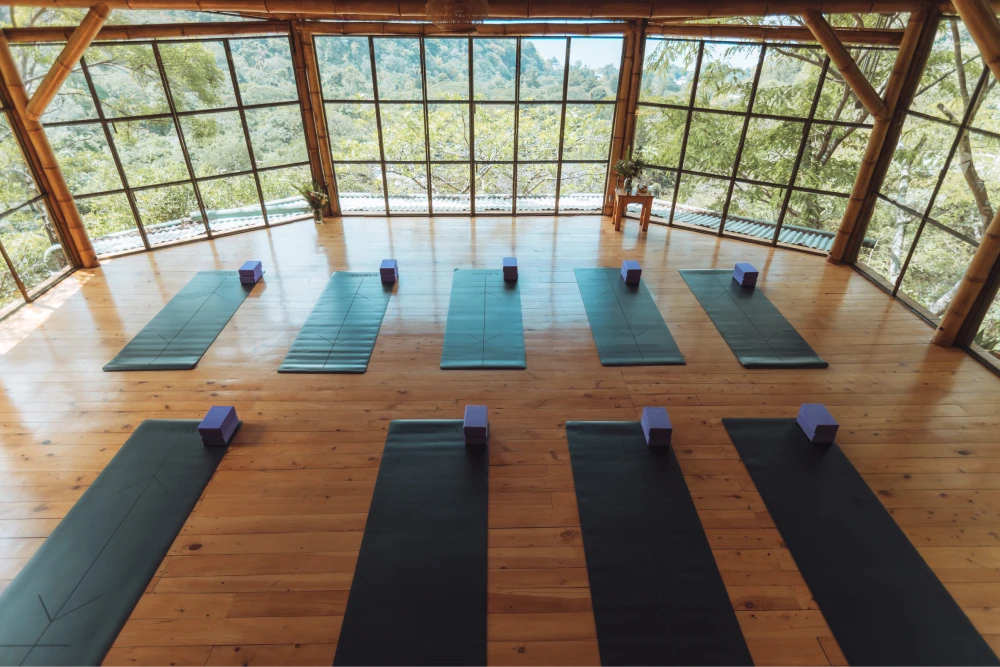 KawoqForest-Mats-Yoga-Studio