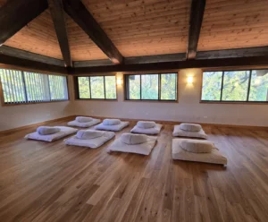 Camino Wellness Center Meditation Hall - Group Silent Meditation and Guided Self-Inquiry