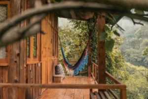 ForestCabinporche