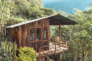 KawoqForest-Bungalow-Cabin-Outside-View-1