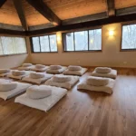 1 Day Intensive: Dissolving Hurt / Fear Without Action (In Russian)